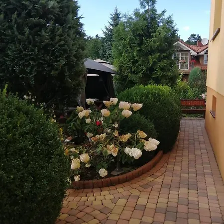 U Eli I Jurka *