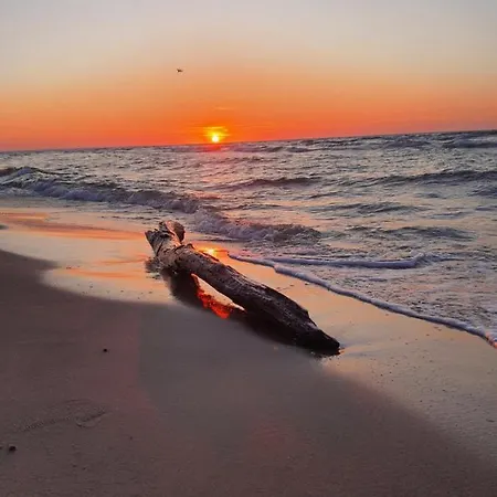 U Eli I Jurka Проживание в семье *